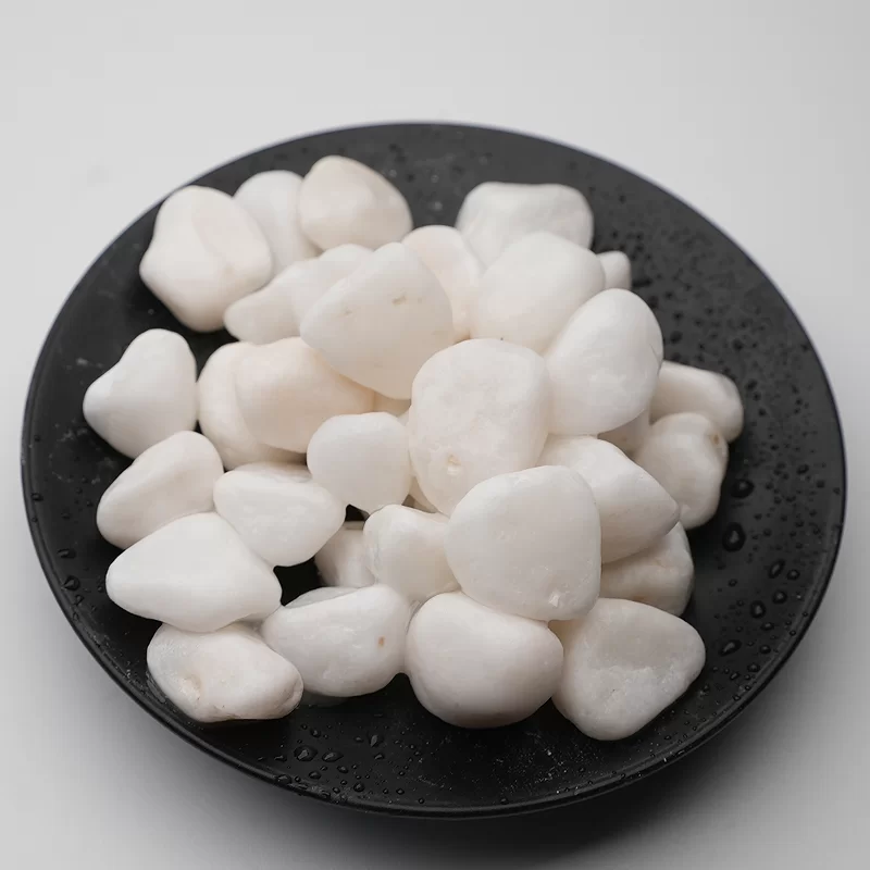 Šķembu grants Terrazzo